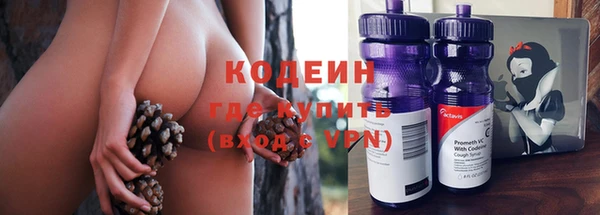 гашик Каменка