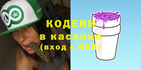 гашик Каменка