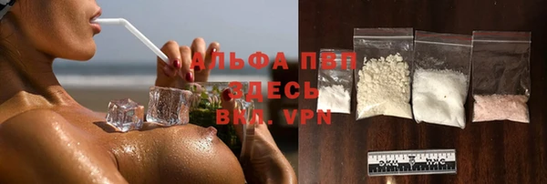гашик Каменка