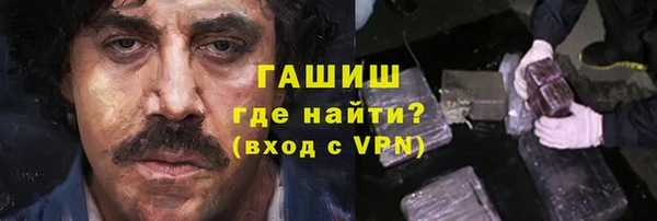 гашик Каменка