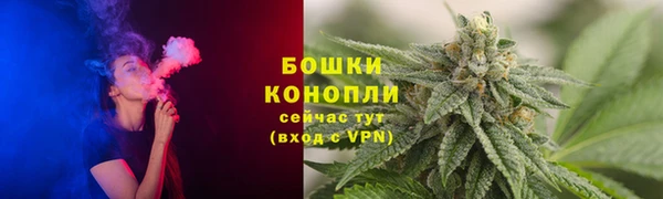 гашик Каменка