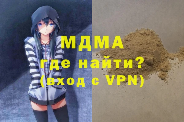 гашик Каменка