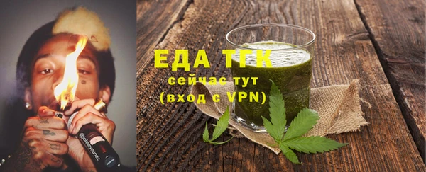 гашик Каменка