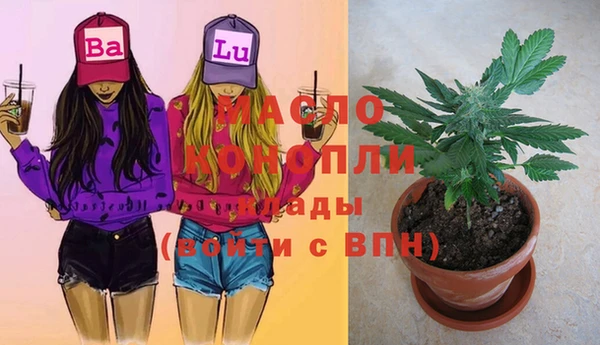 гашик Каменка