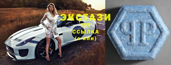 гашик Каменка