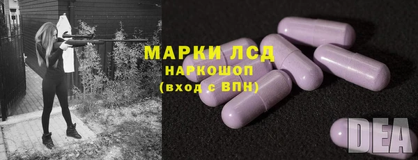 гашик Каменка