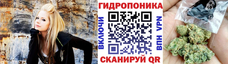 Купить где Гаджиево Бошки Шишки VHQ